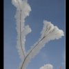 20060212_034